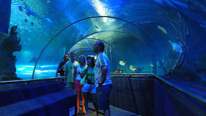 Vinpearl Aquarium Times City: Thủy cung lớn nhất tại Hà Nội
