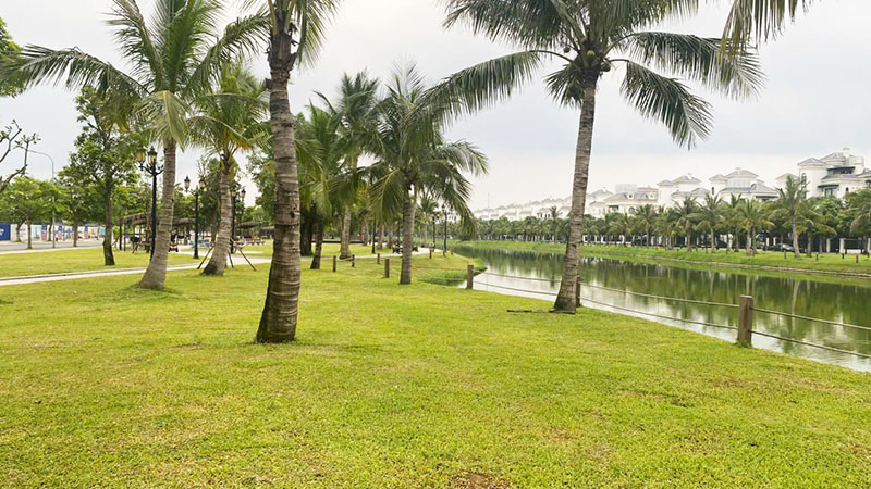 Hồ Đảo Cọ: Cảnh đẹp bị lãng quên tại Vinhomes Ocean Park