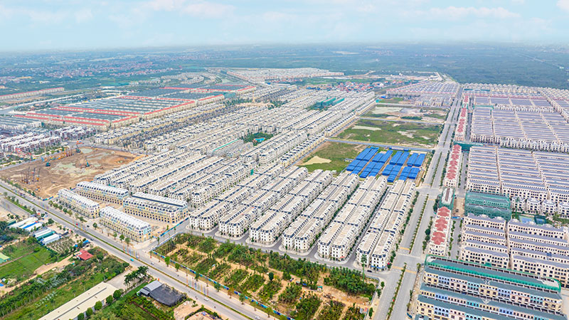 Sao Biển